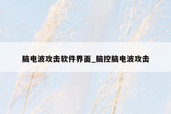 脑电波攻击软件界面_脑控脑电波攻击