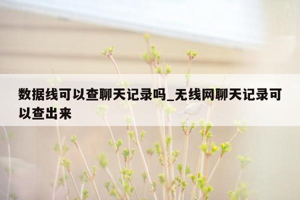 数据线可以查聊天记录吗_无线网聊天记录可以查出来