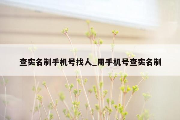 查实名制手机号找人_用手机号查实名制