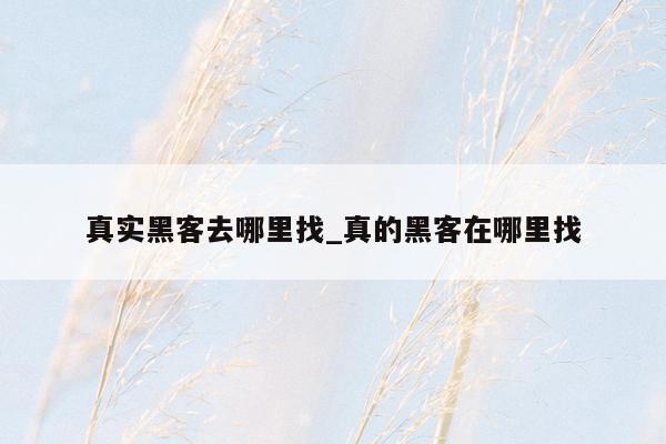 真实黑客去哪里找_真的黑客在哪里找