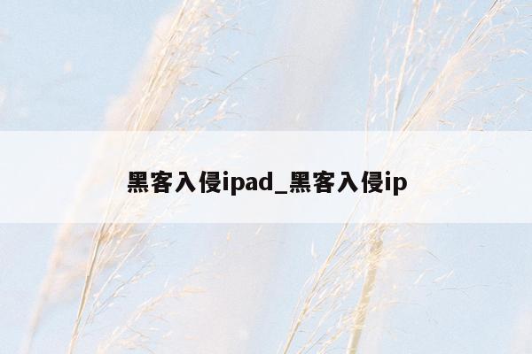 黑客入侵ipad_黑客入侵ip