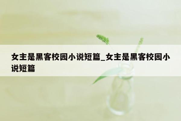女主是黑客校园小说短篇_女主是黑客校园小说短篇