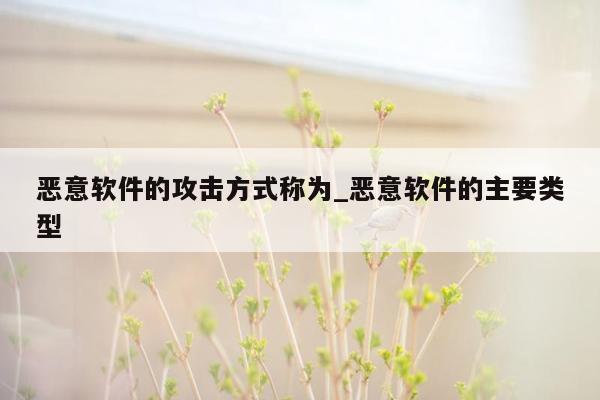 恶意软件的攻击方式称为_恶意软件的主要类型