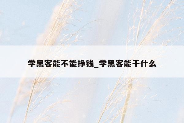 学黑客能不能挣钱_学黑客能干什么